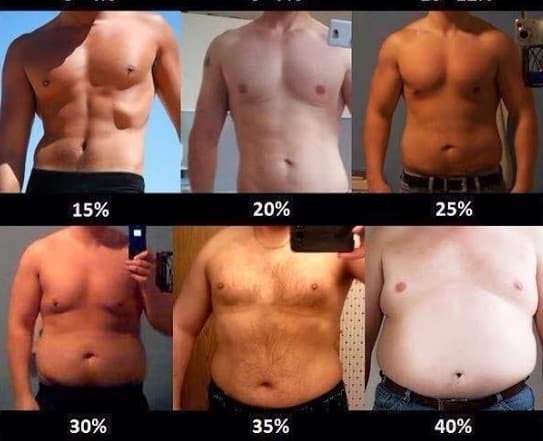 bioimpedancia resultados abdomen